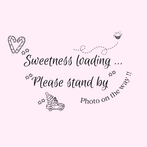 Gingerbread Buddy Kit